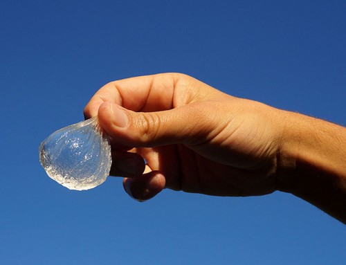 Ooho, la botella comestible y biodegradable que puedes hacer en casa